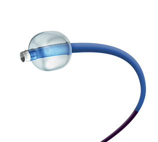 SHUNMEI MEDICAL CO.,LTD