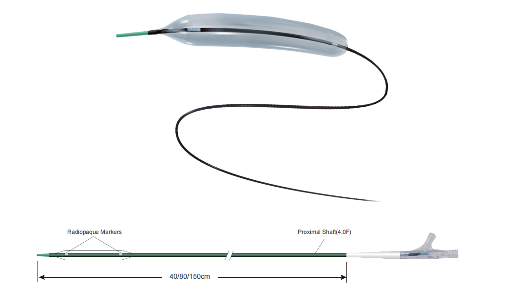 PTA Balloon & PTA Catheter - Shunmei