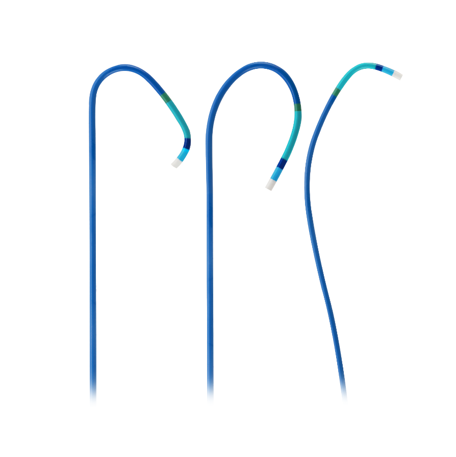 Guiding Catheter