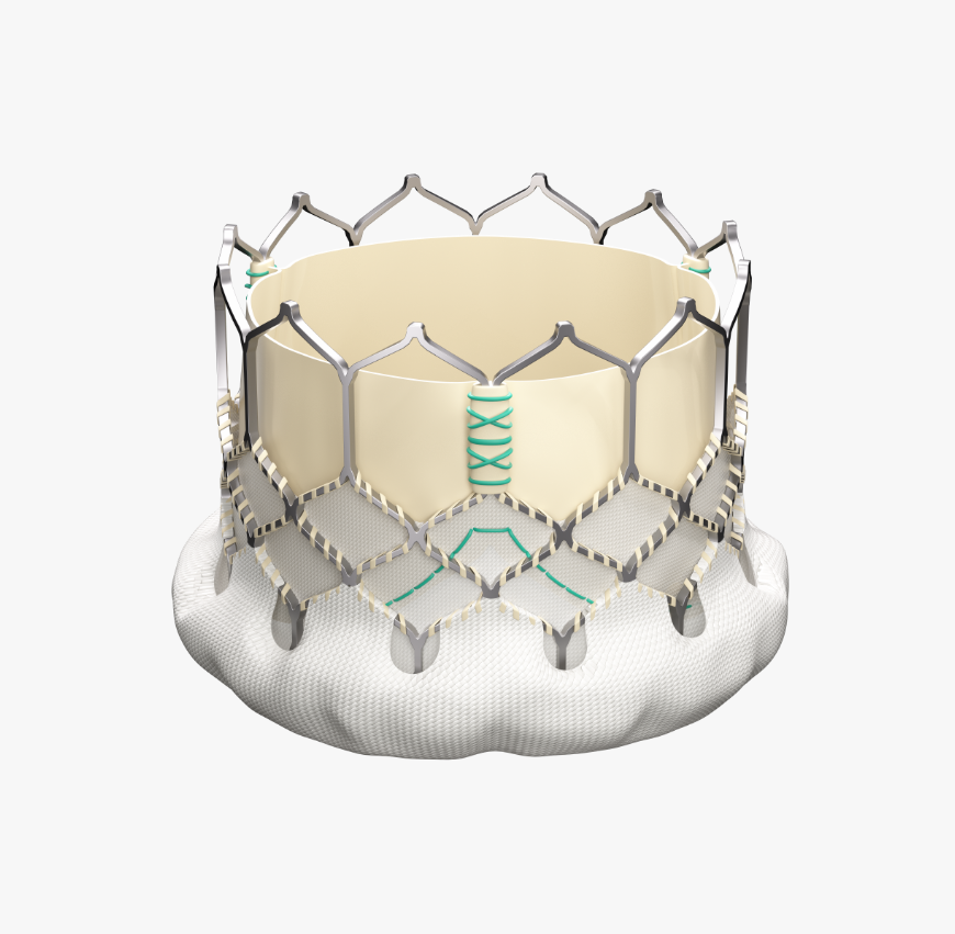 TAVI-SunValve(CE soon)