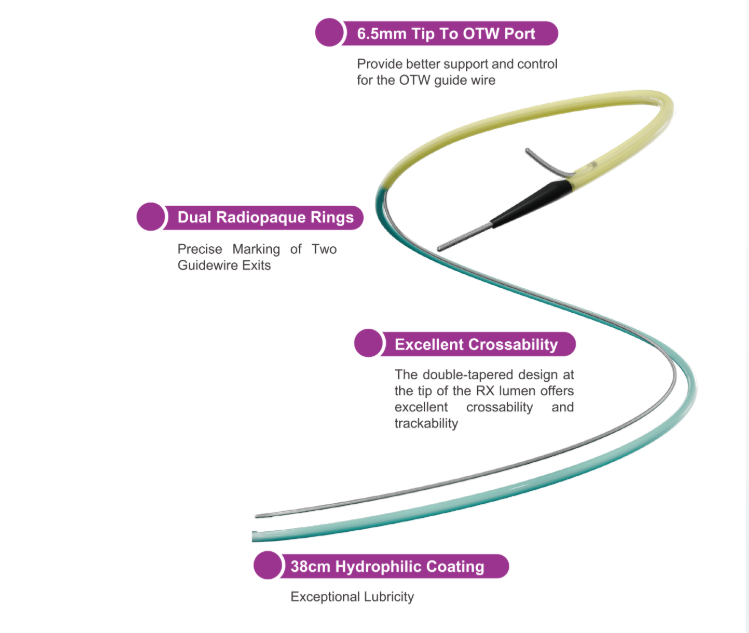 Shunmei Lumin double lumen catheter features